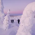 Arctic Garden Design Villa Rovaniemi