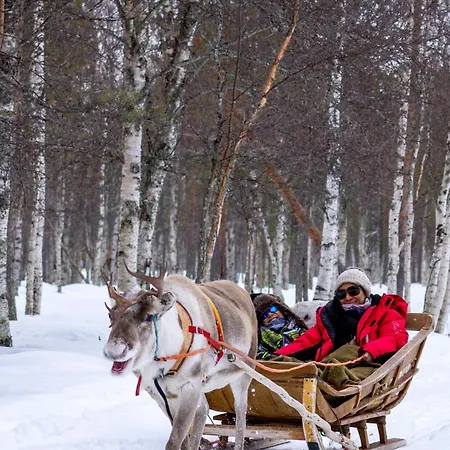 Arctic Garden Design * Rovaniemi