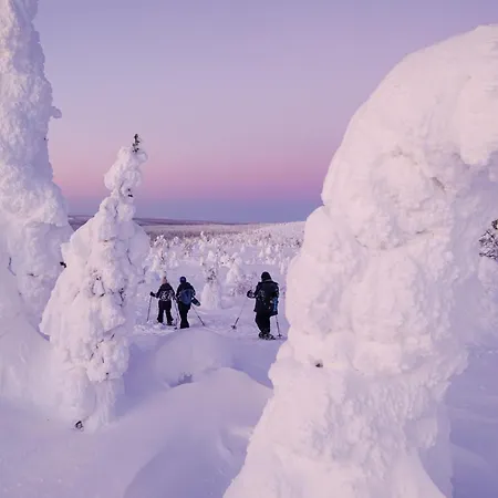 Arctic Garden Design Villa Rovaniemi