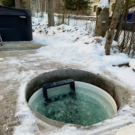 Villa Arctic Garden Design *