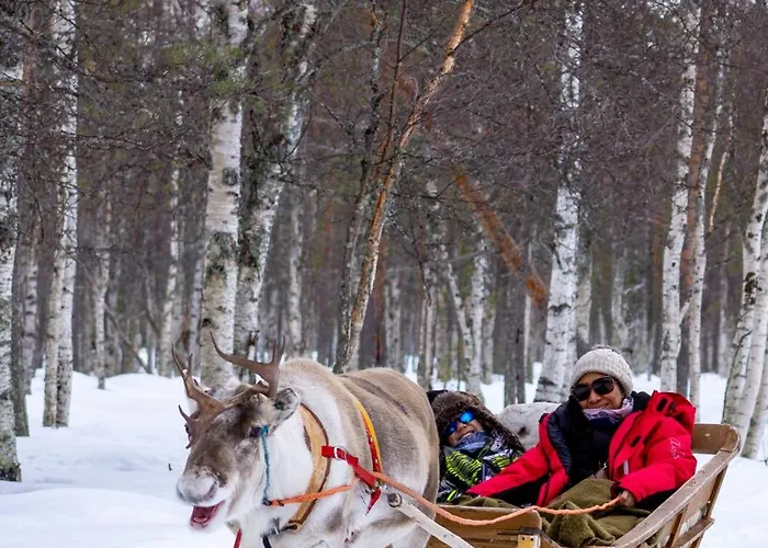 Arctic Garden Design * Rovaniemi