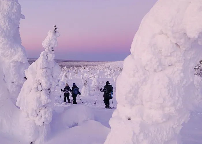 Arctic Garden Design Villa Rovaniemi