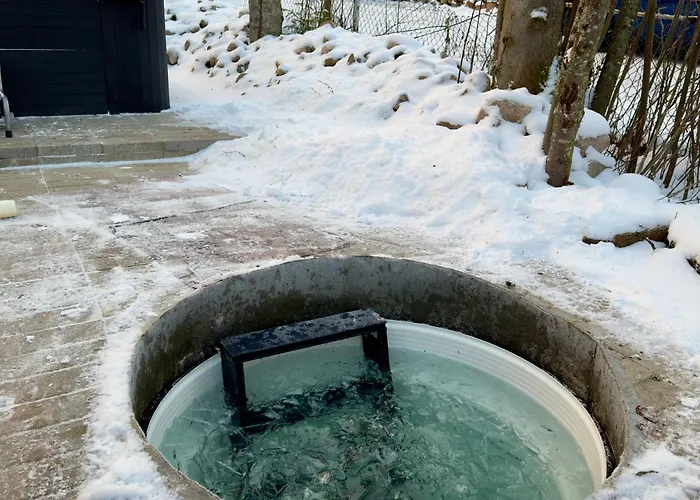 Villa Arctic Garden Design *